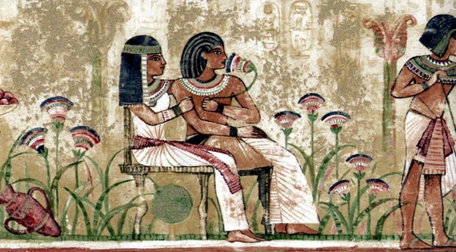 Бугенвиллия древовидная