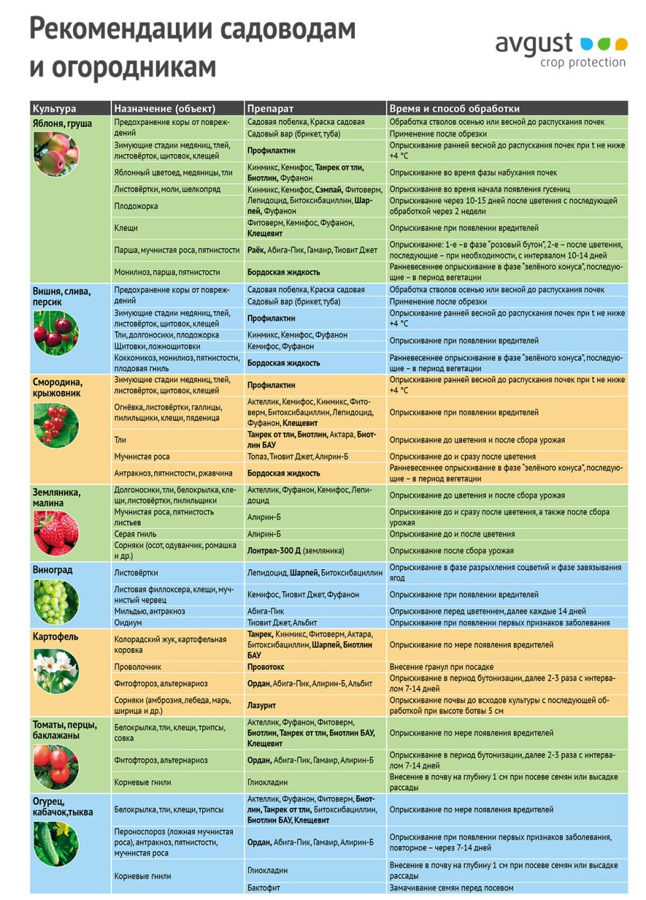 Прикорневой полив яблони