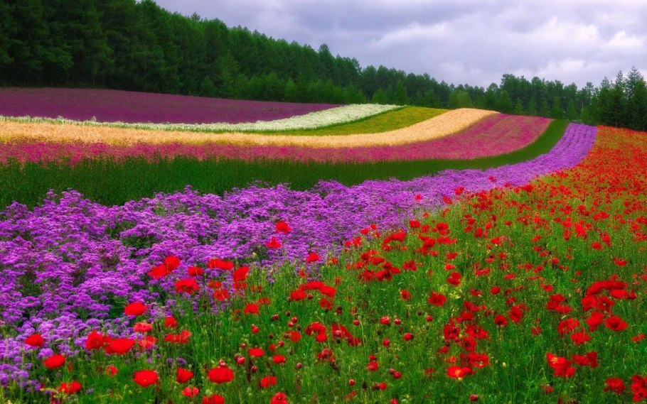 Фон природа