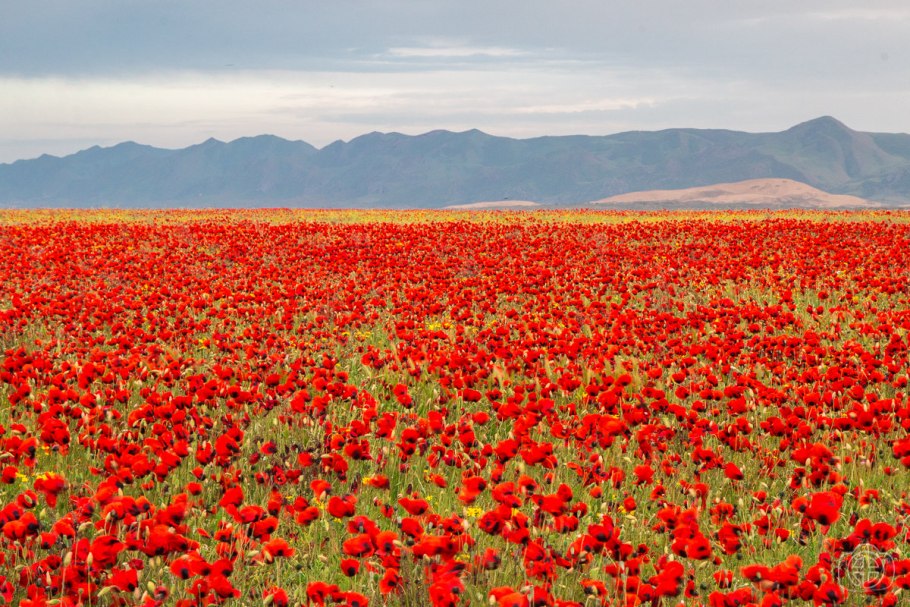 Ферганская Долина Киргизия