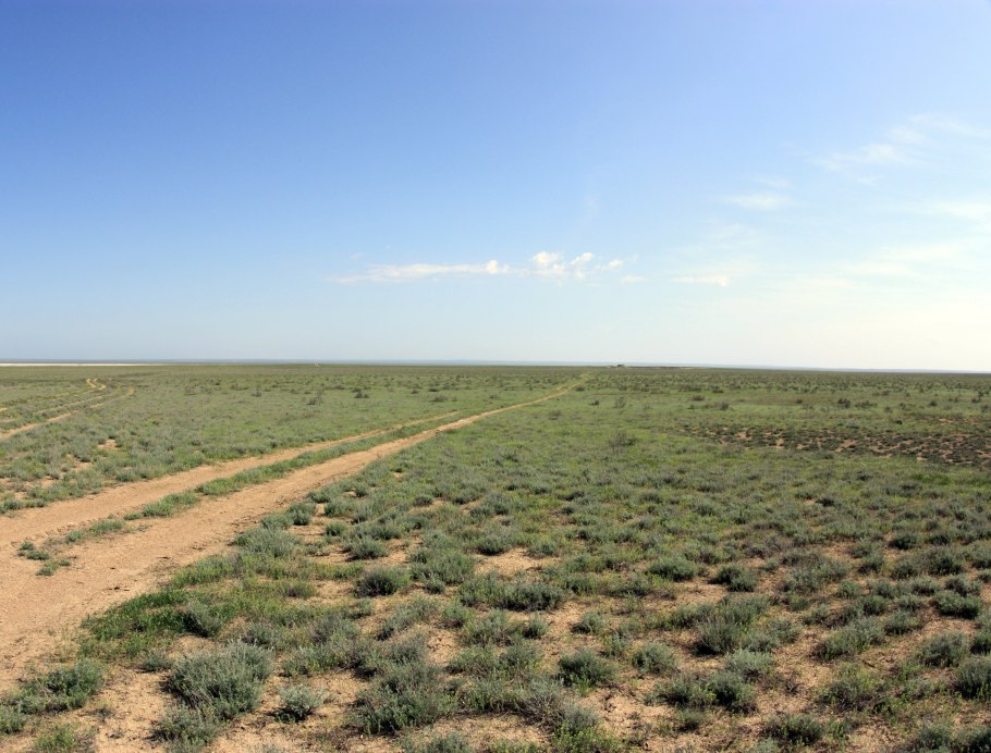 Степи Дагестана