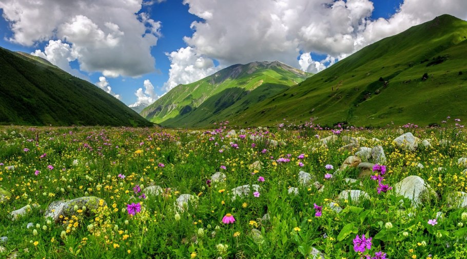 Альпийские Луга Кавказа
