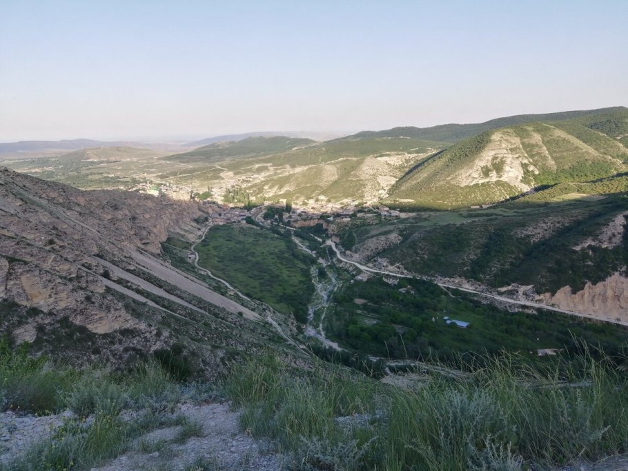 Растения Дагестанской степи