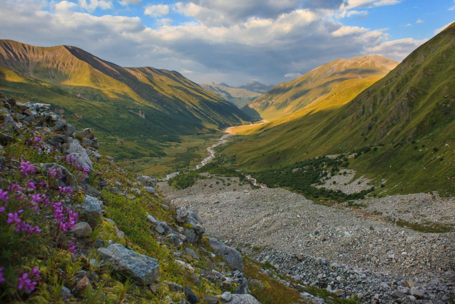 Дагестан высокогорный горы цветы