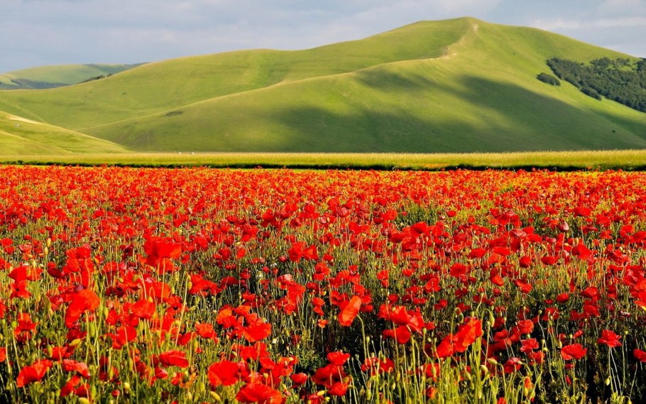 Субальпийские Луга Дагестана
