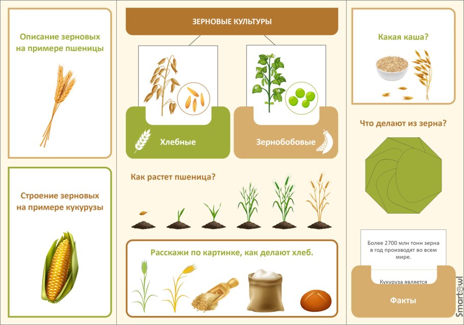 Овсяница Луговая описание