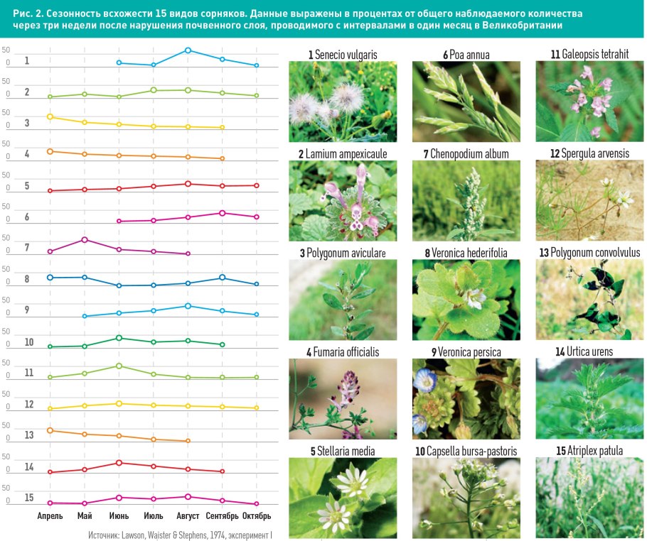 Фиды культурных растений