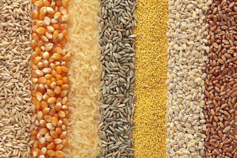 Буудай Арпа жугору