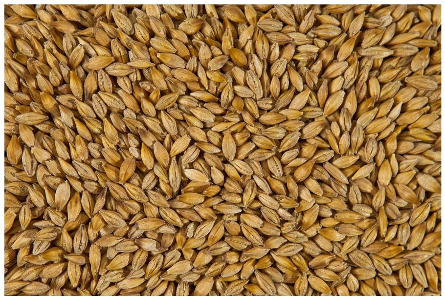 Солод пивоваренный ячменный