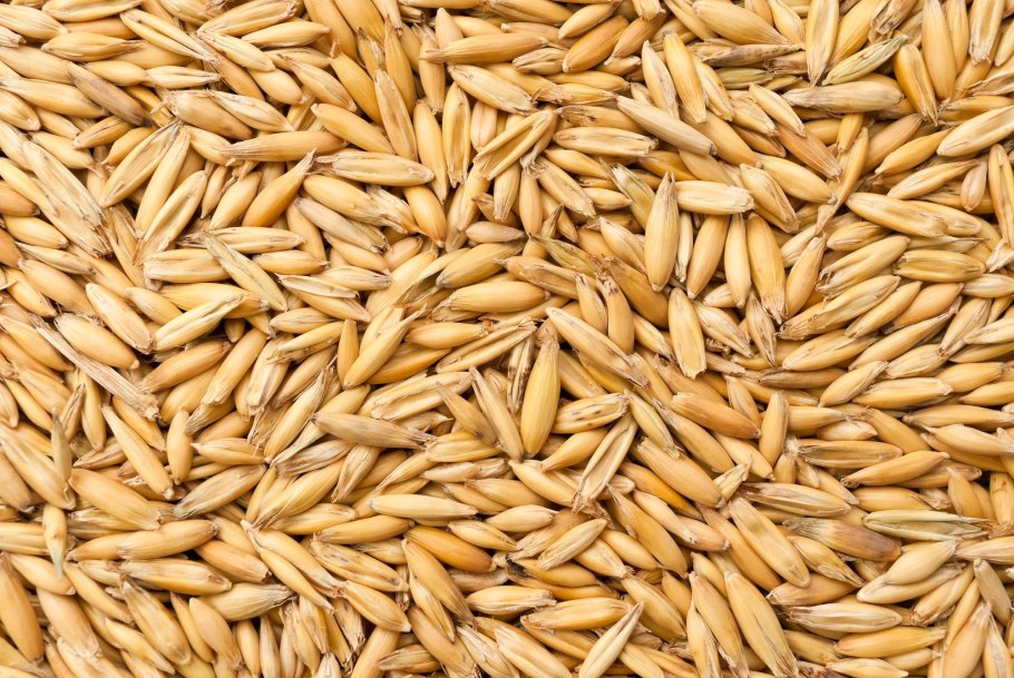 Гандум Пенг