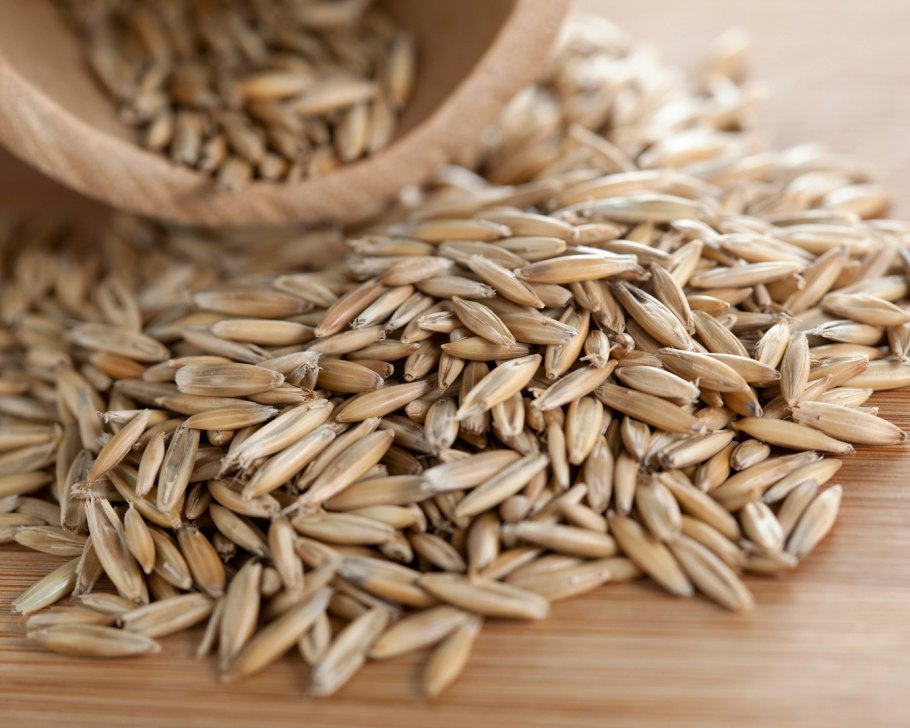 Колоски ячмень овес пшеница