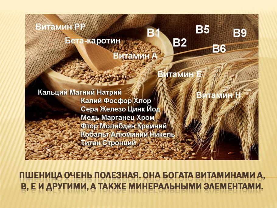 Витамины в пшенице