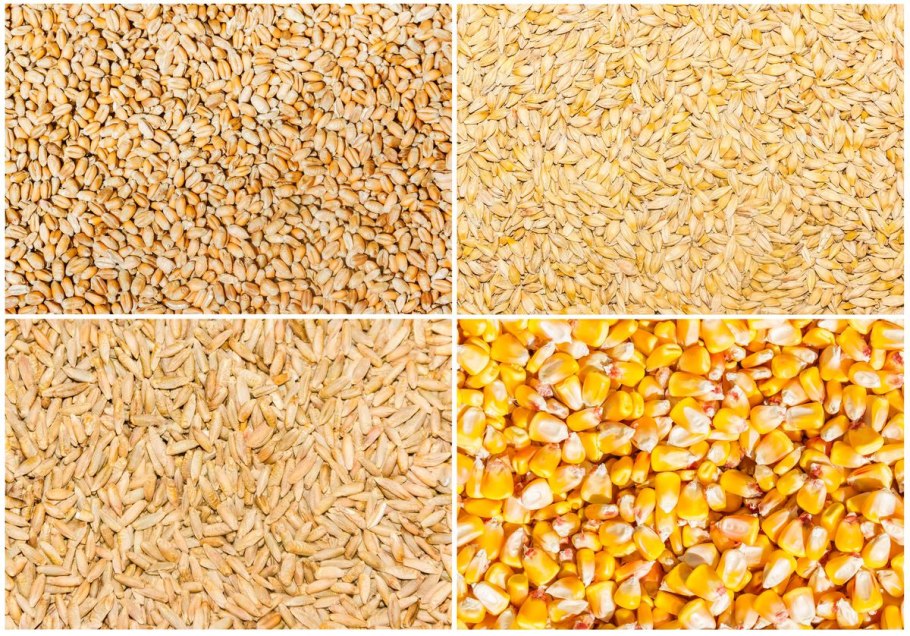 Зерновые культуры в мешках