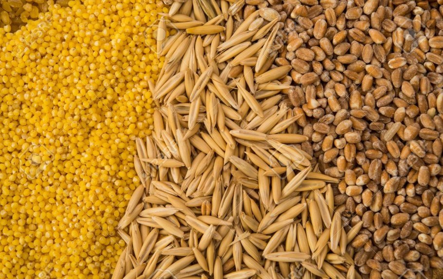 Пшеница ячмень кукуруза овес