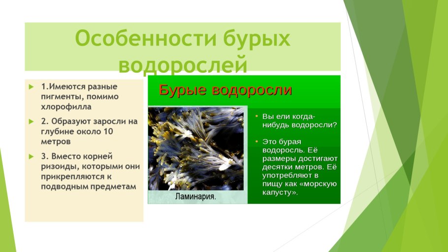 Алария сообщения