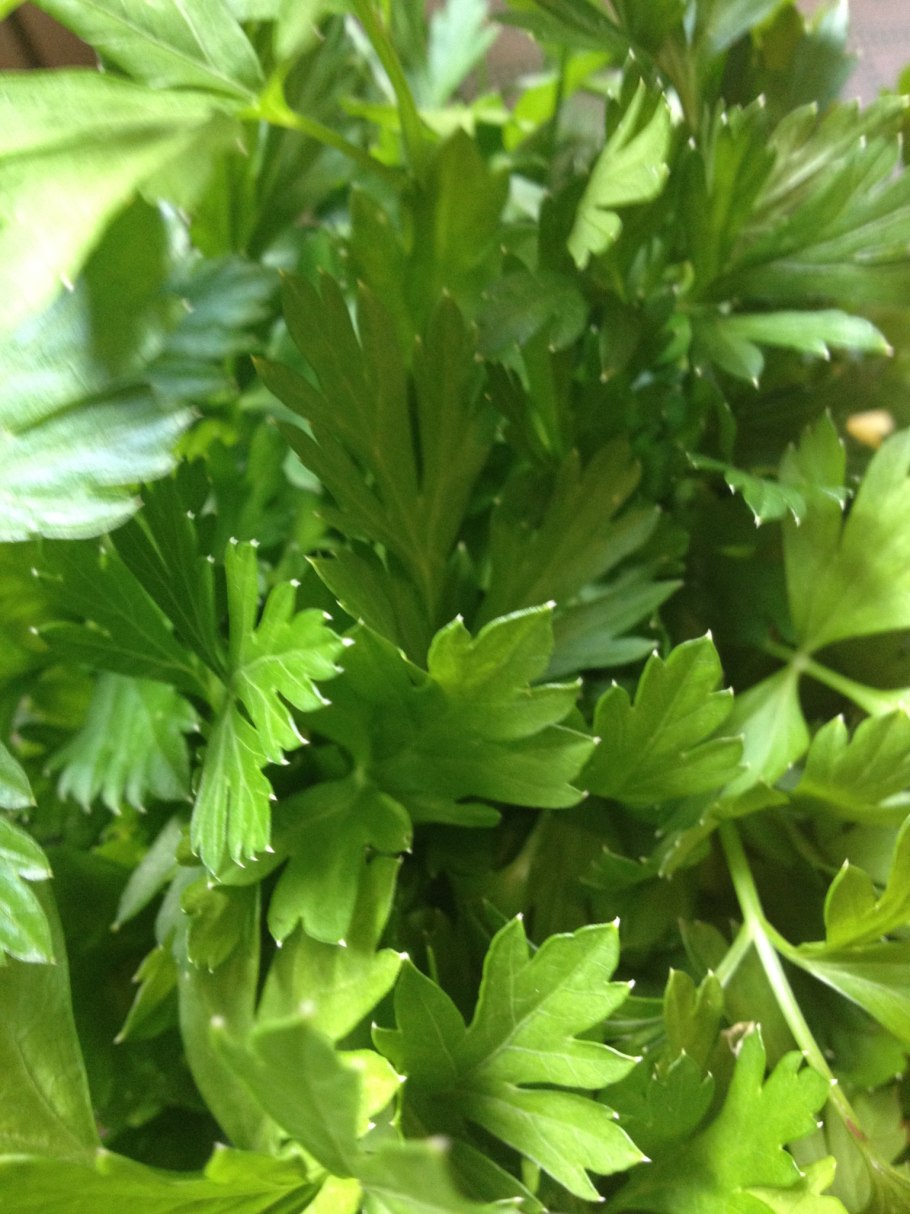 Карточки. Овощи