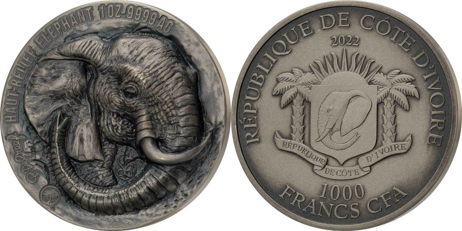 Алоказия Сильвер Небула