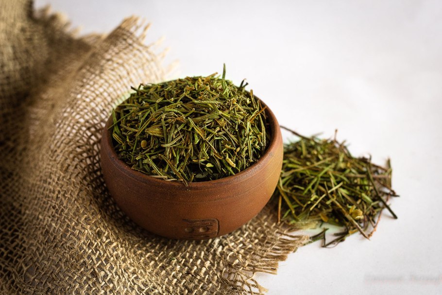 Багульник болотный