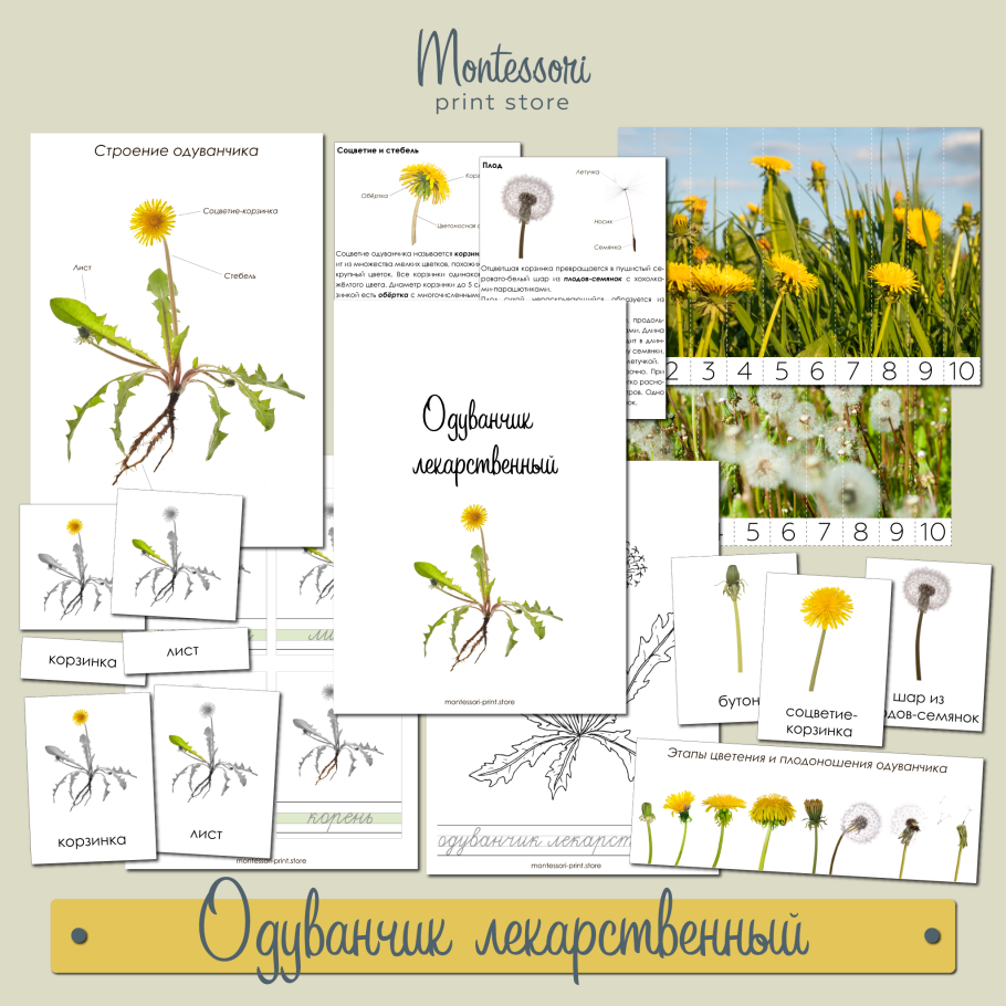 Виды растений