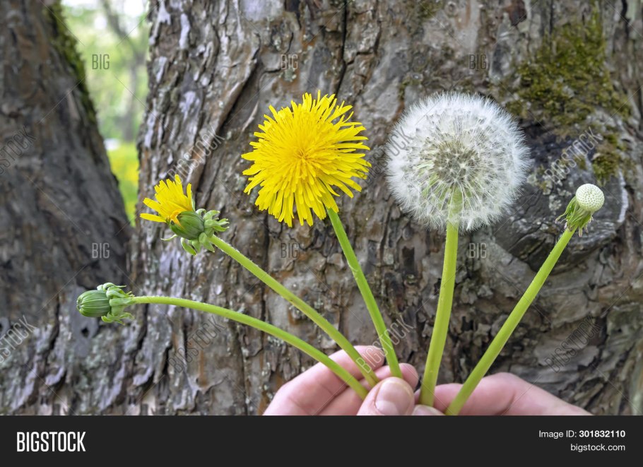 Весенние изменения в природе