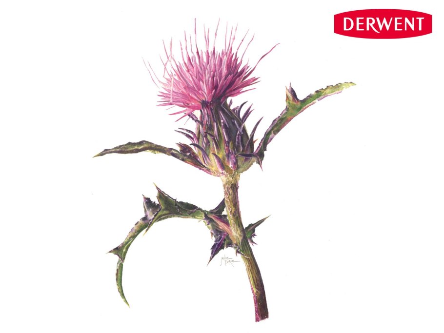 Ru140 репейник (Burdock)