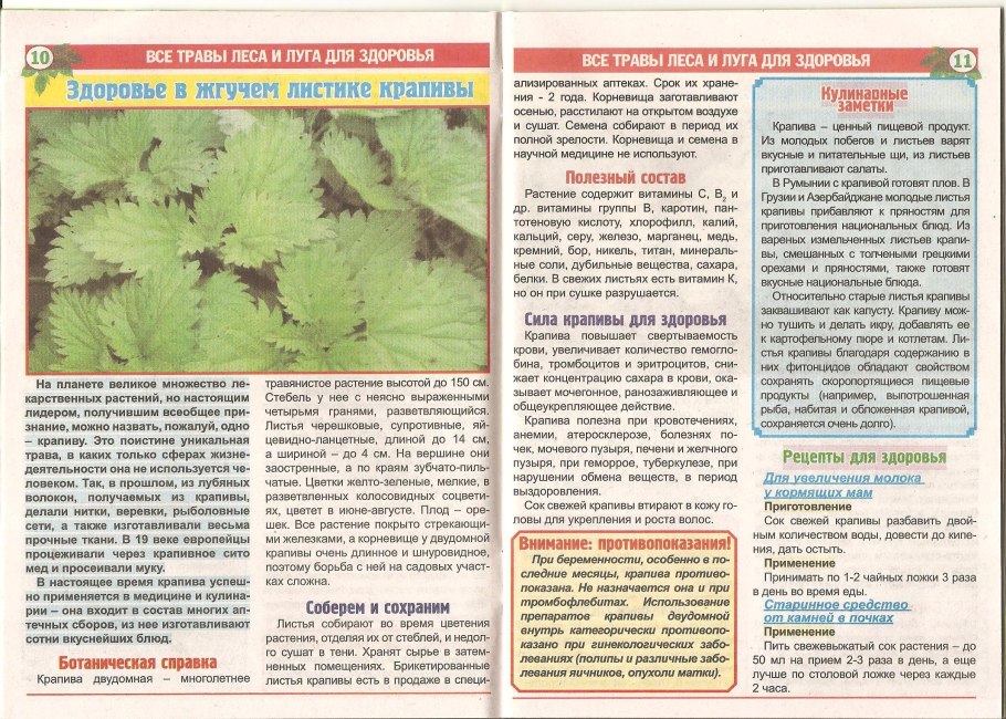 Крапива двудомная препараты