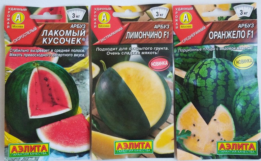 Дыня лакомый кусочек Аэлита