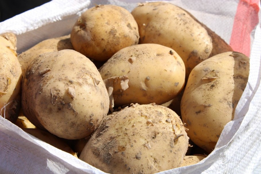 Картофель Коломбо в мешках