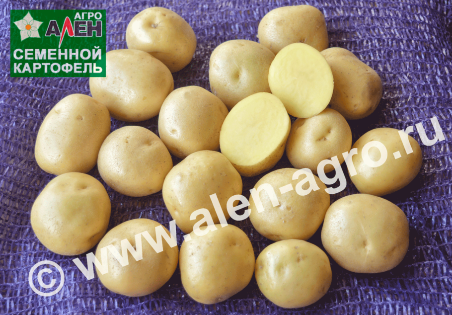 Картофель импортный