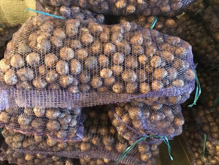 Картофель сорт Сесиль