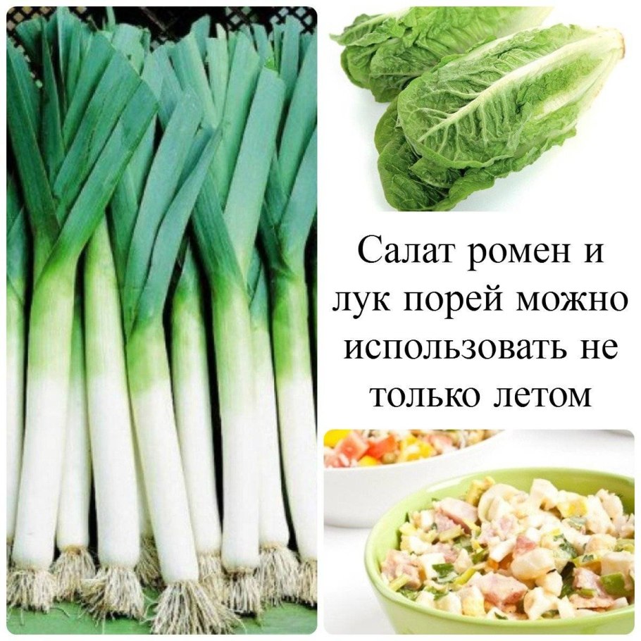 Сезонные продукты Весна