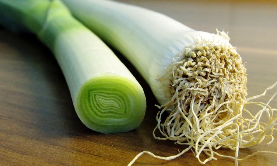 Лук порей Аэлита