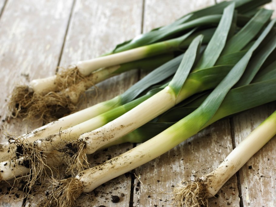 Лук латук и порей разница