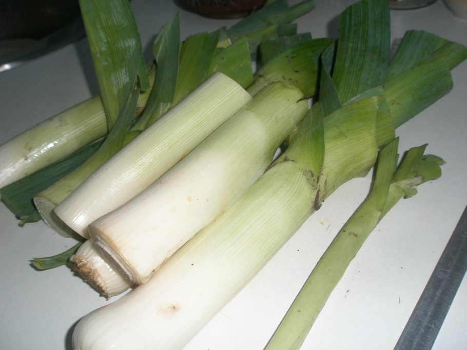 Лук порей 2021