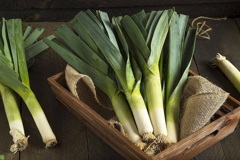 Блюда из лука порея