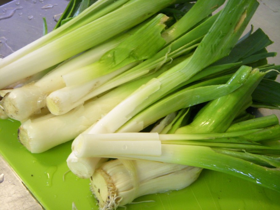 Сорт лука порея Коламбус