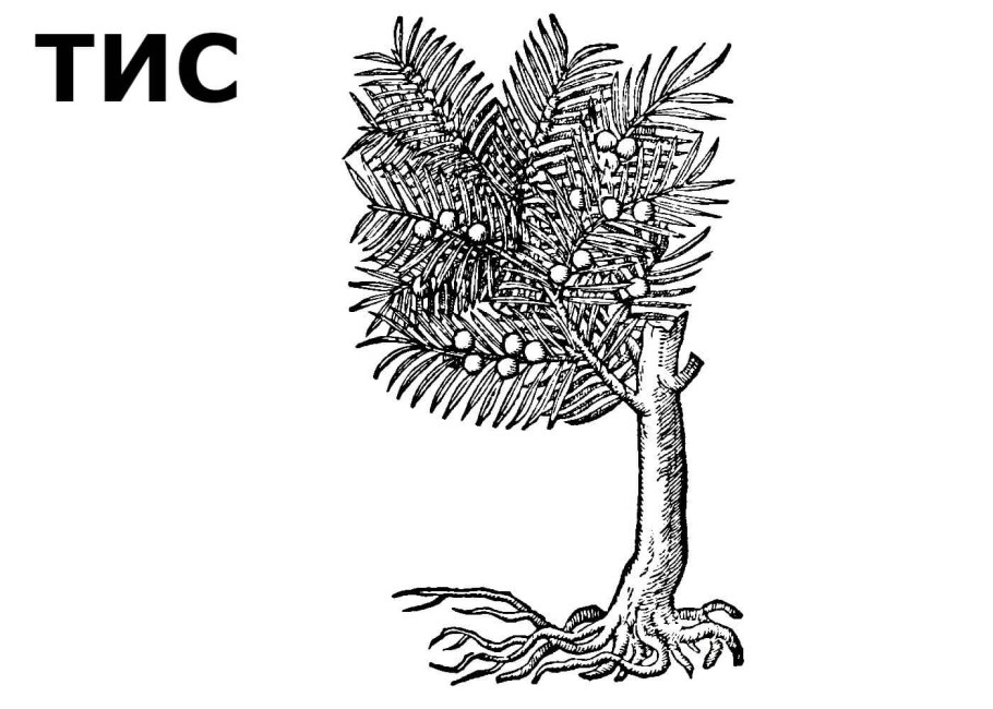 Схема расчета денежного потока