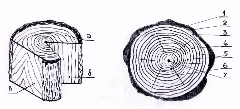 Росреестр публичная кадастровая карта Калининград
