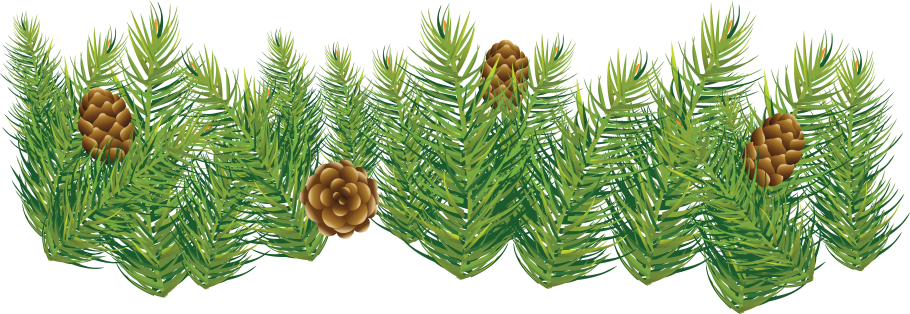 Ветка с шишками