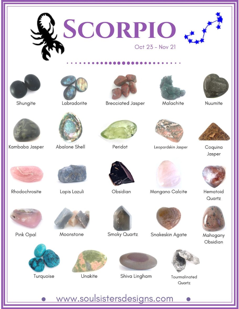 Комнатные растения в нашей жизни