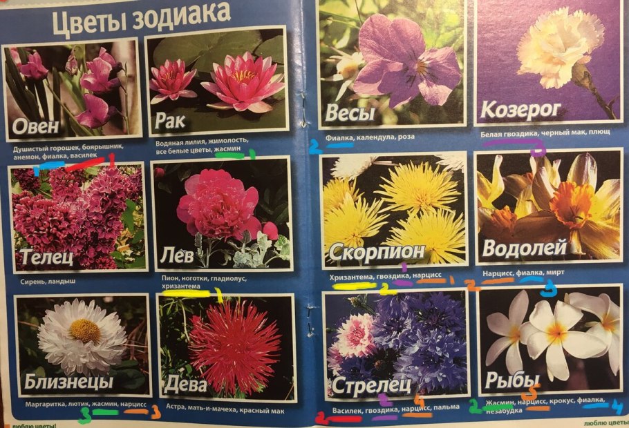 Цветочный гороскоп
