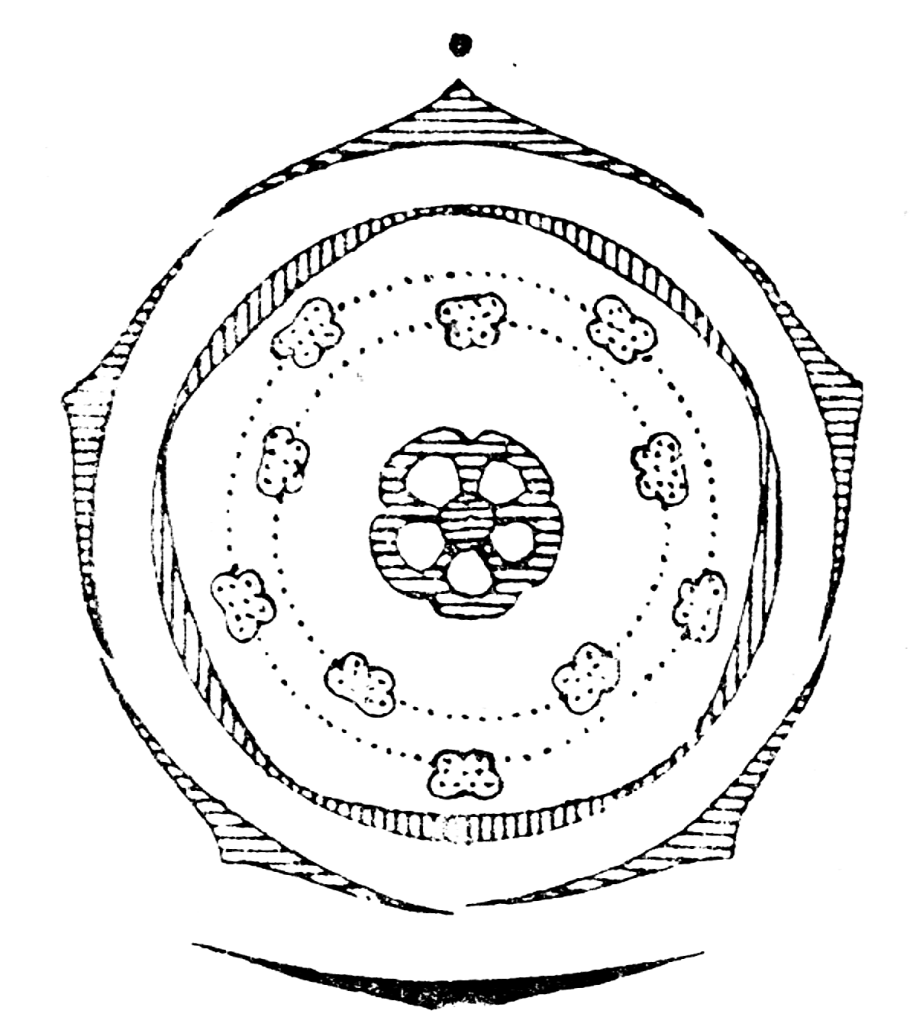 Пижма ядовитое растение