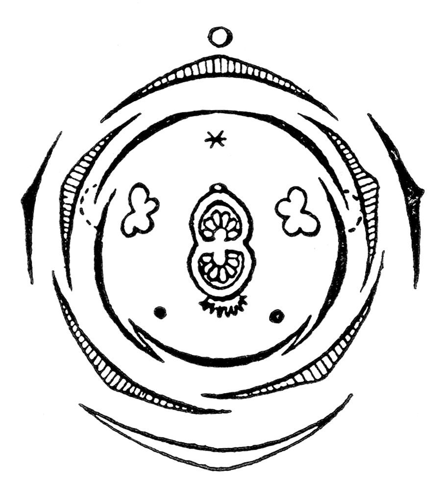 Пижма бальзамическая Криспа