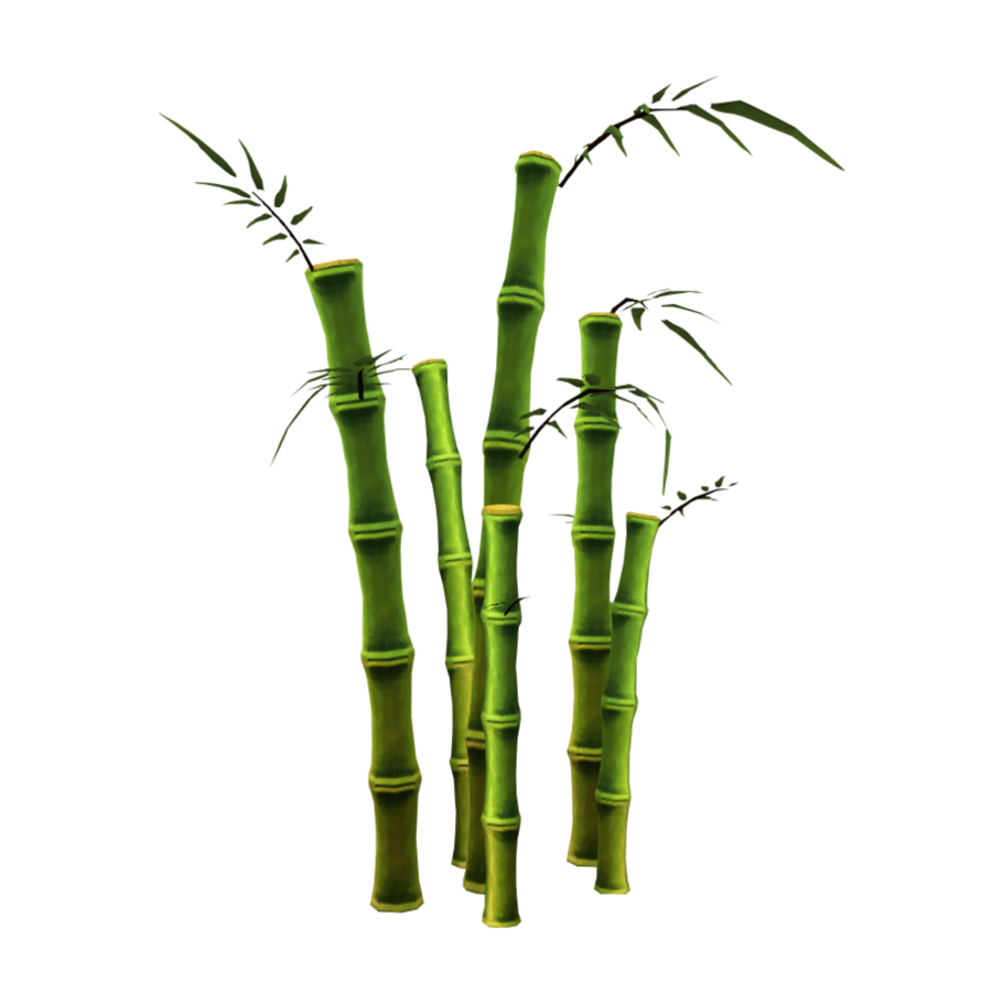 Бамбук тростниковый