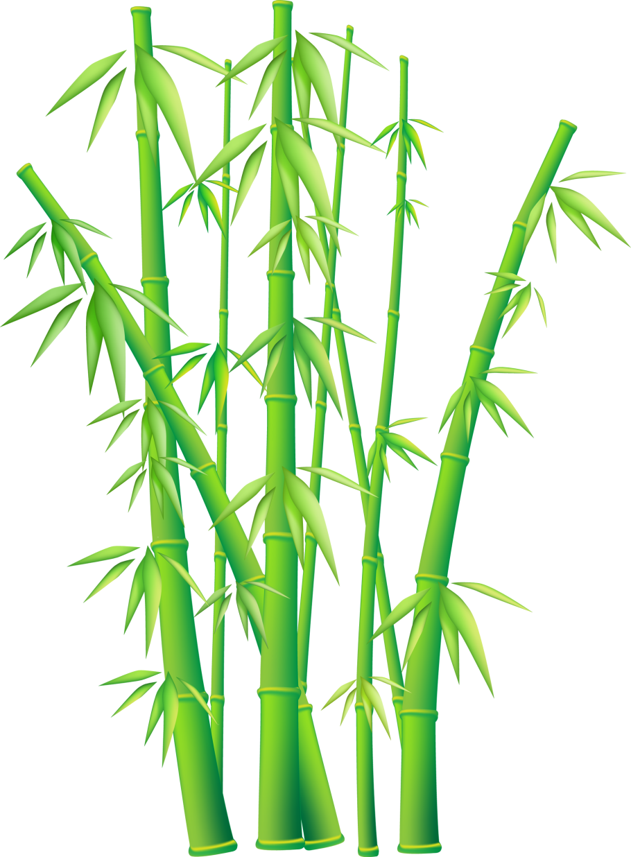 Хризалидокарпус Дипсис