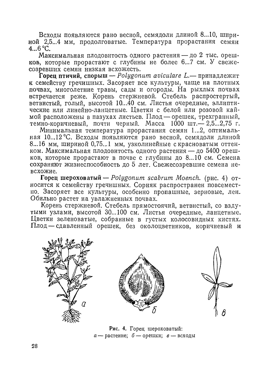 Листья разных растений