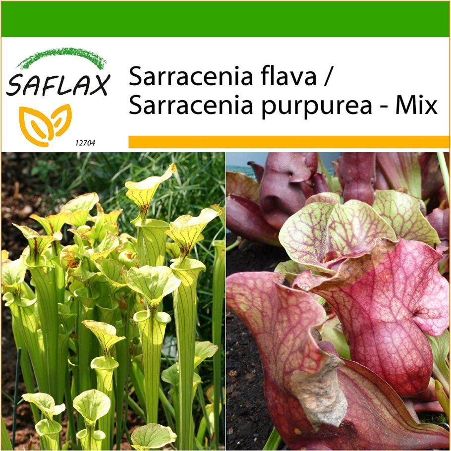 Ботанический сад Насекомоядные