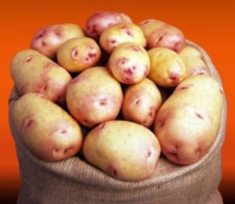 Ф олетовая картофельвлагу любит или нет