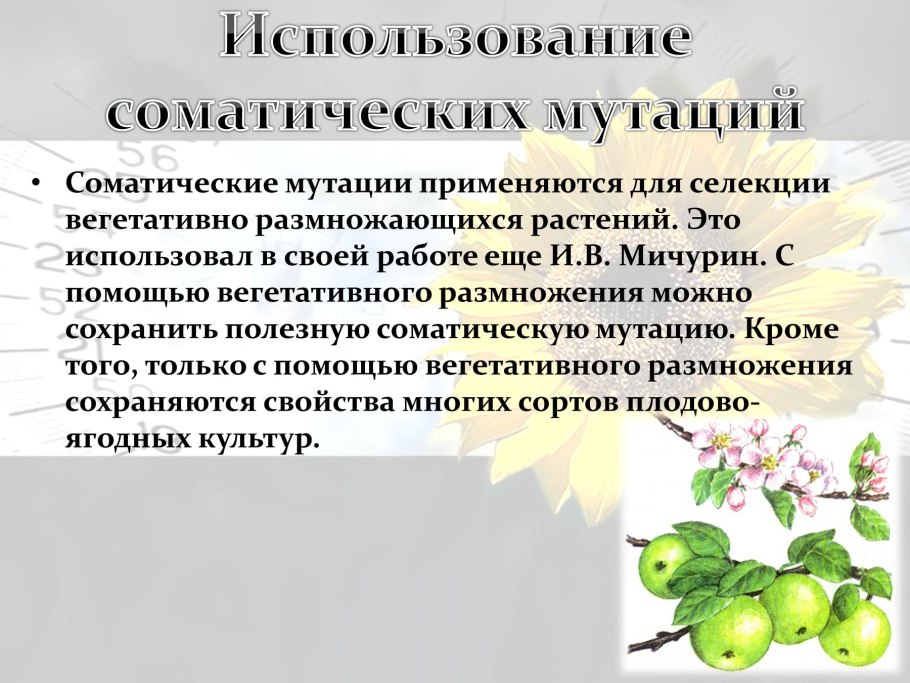 Интеллект карта по биологии пищеварительная система