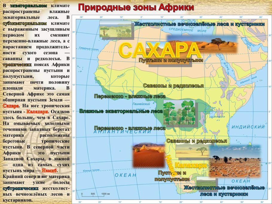 Карта природных зон Африки